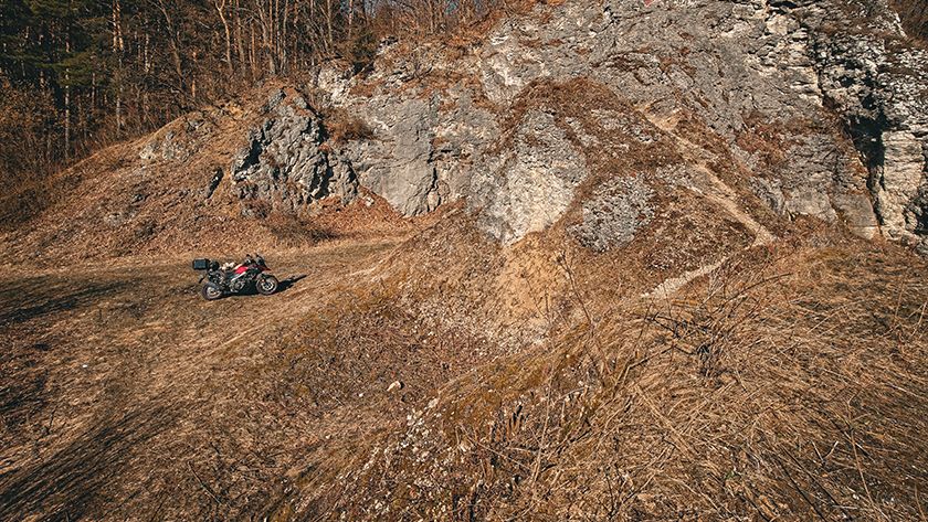 The first signs of early spring are already in the air.