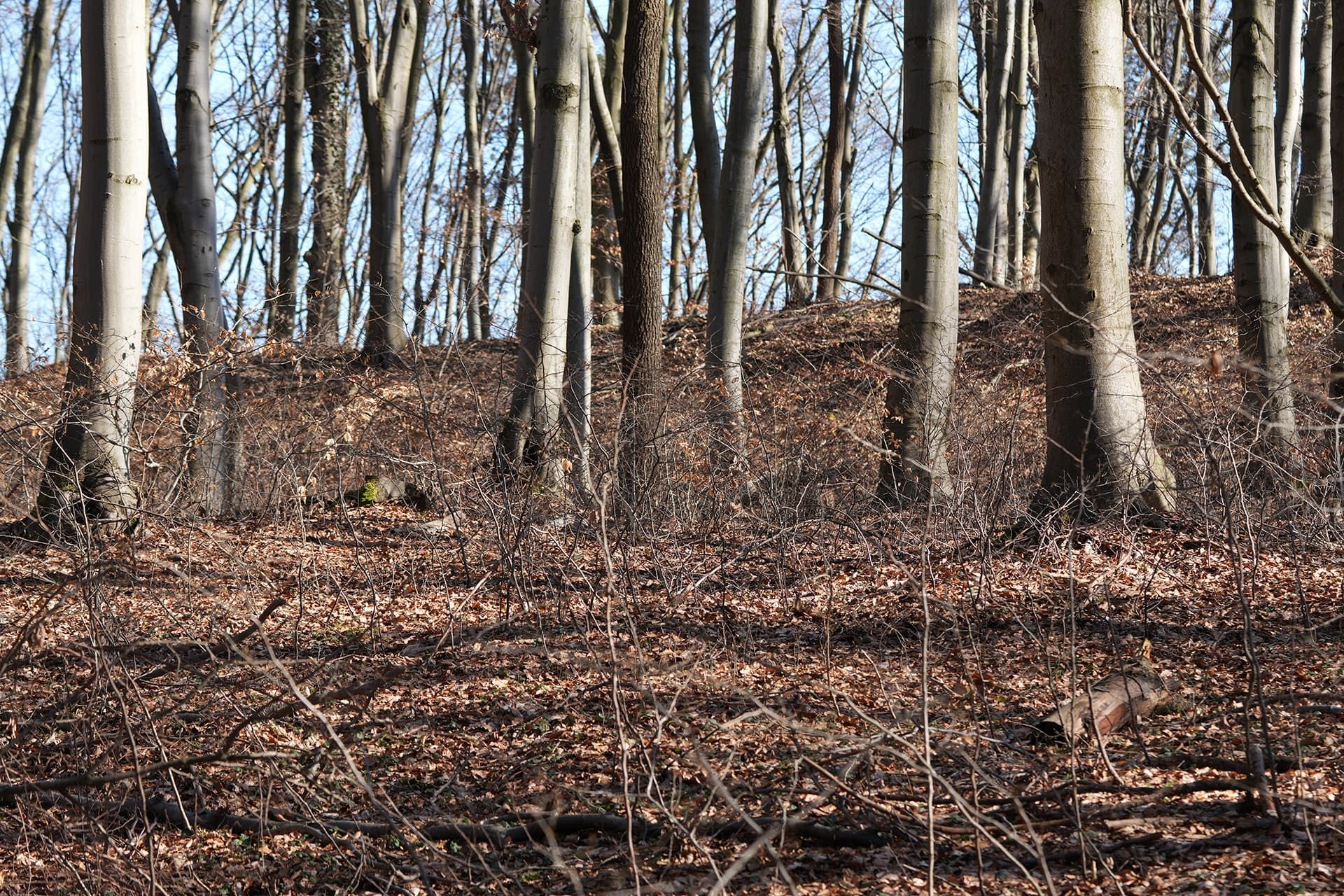 Rampart of the presumed stronghold in Rusocice
