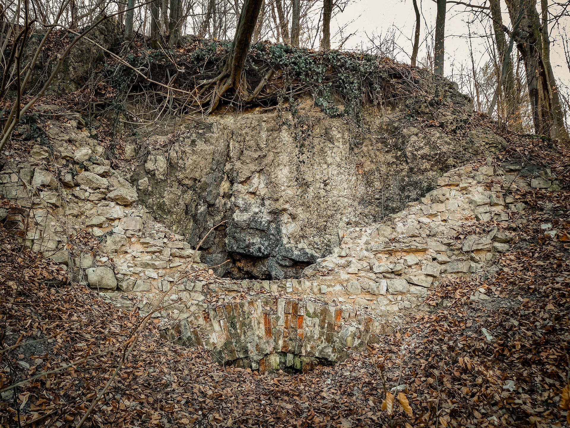 Częściowo zawalony wlot do kawerny w Górze Buczyna.
