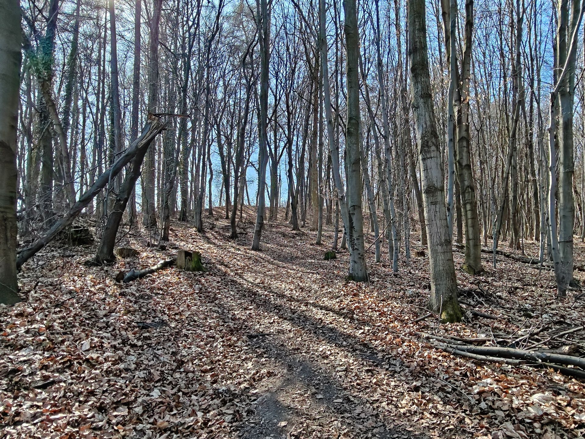 Widok na nasypy na szczycie góry.