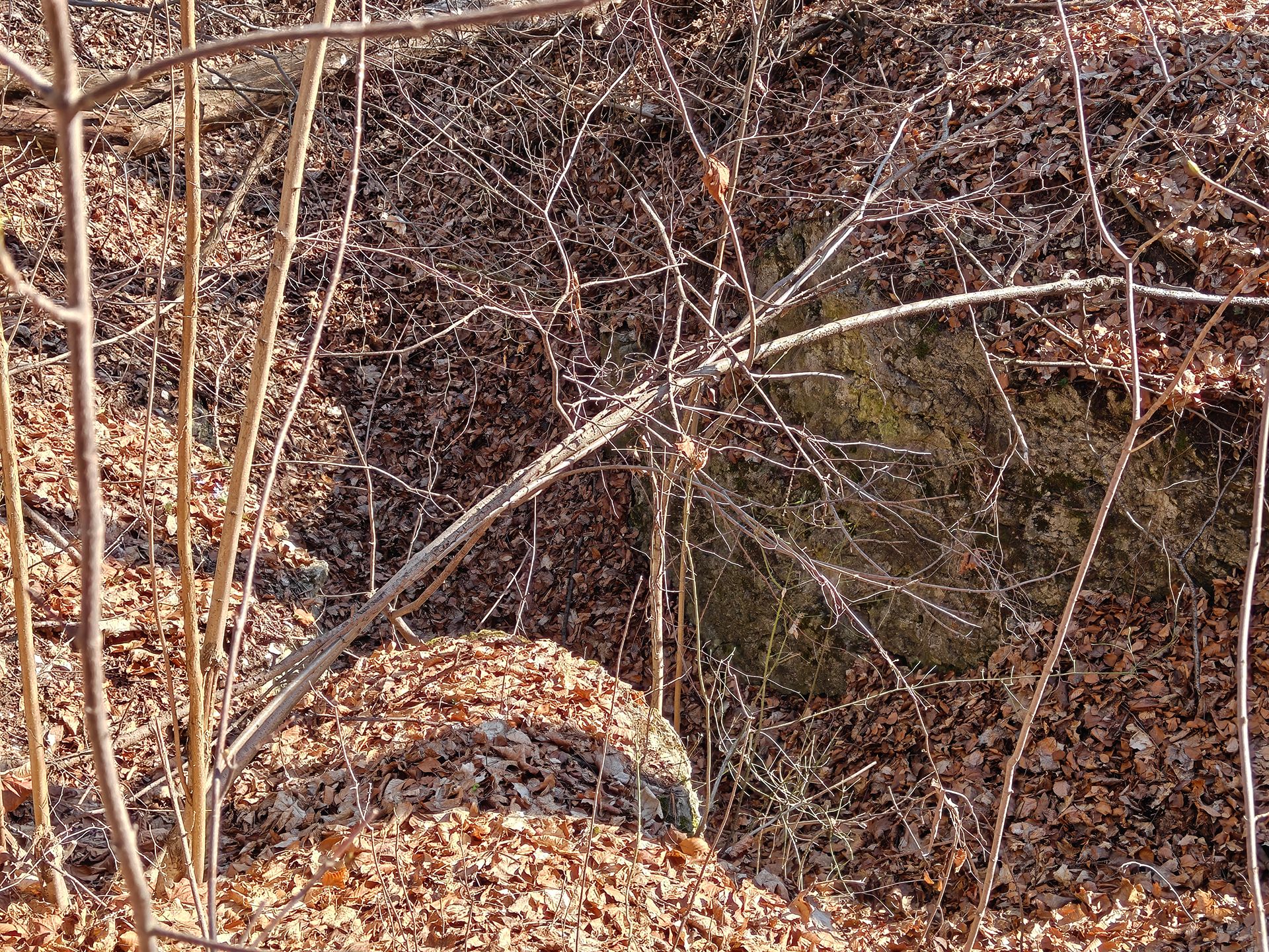 Wykuta w wapiennej skale fosa – a może relikty późniejszej działalności?