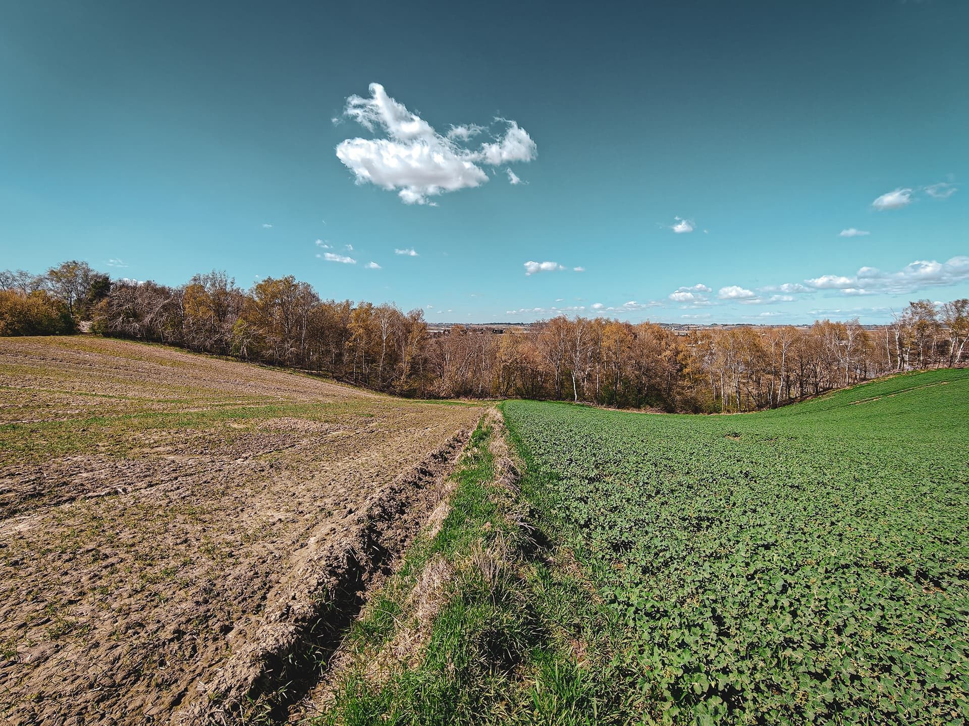 Field boundary leading directly to the site