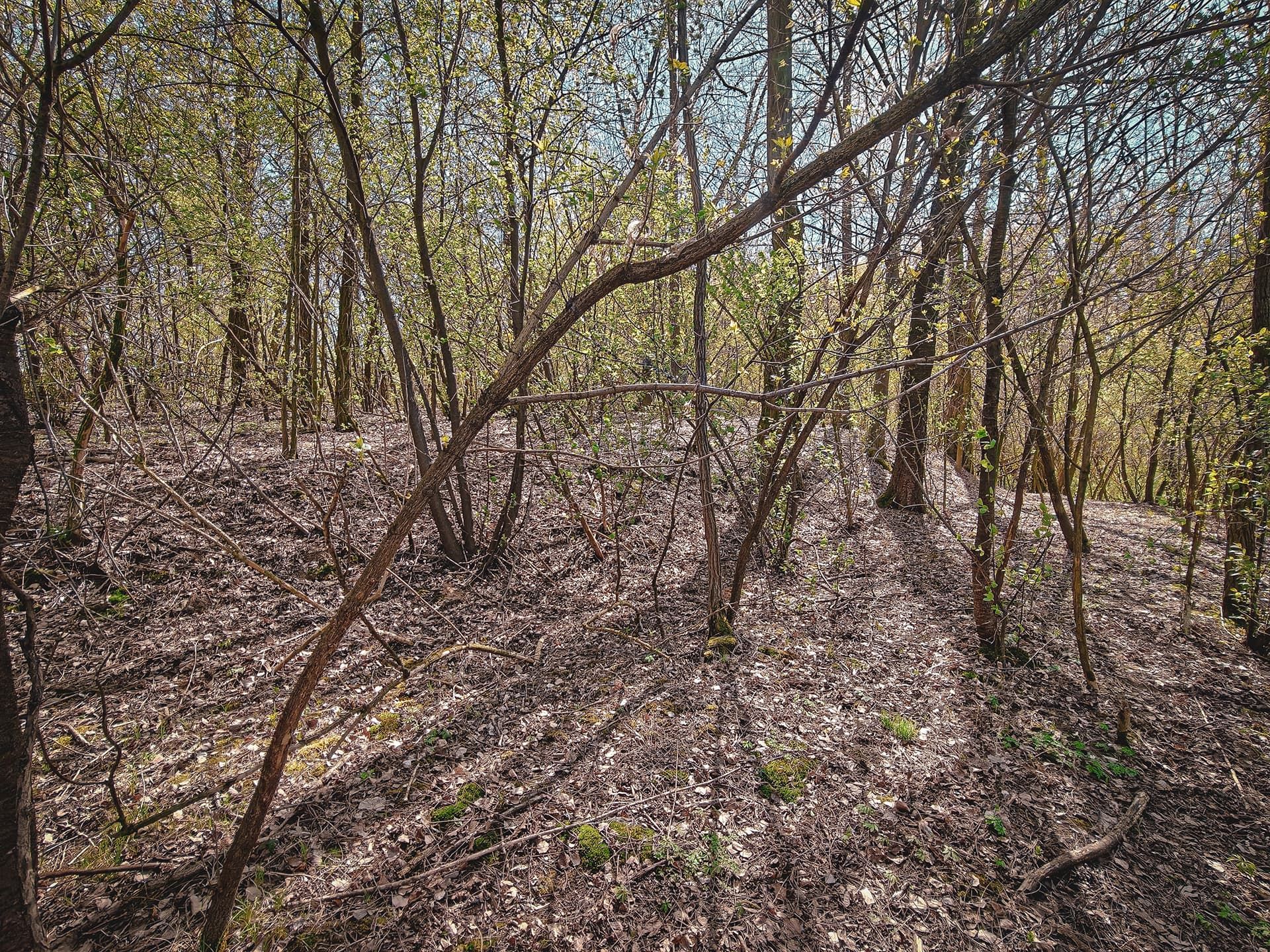 Earthen embankment on the hill, visible from the eastern side