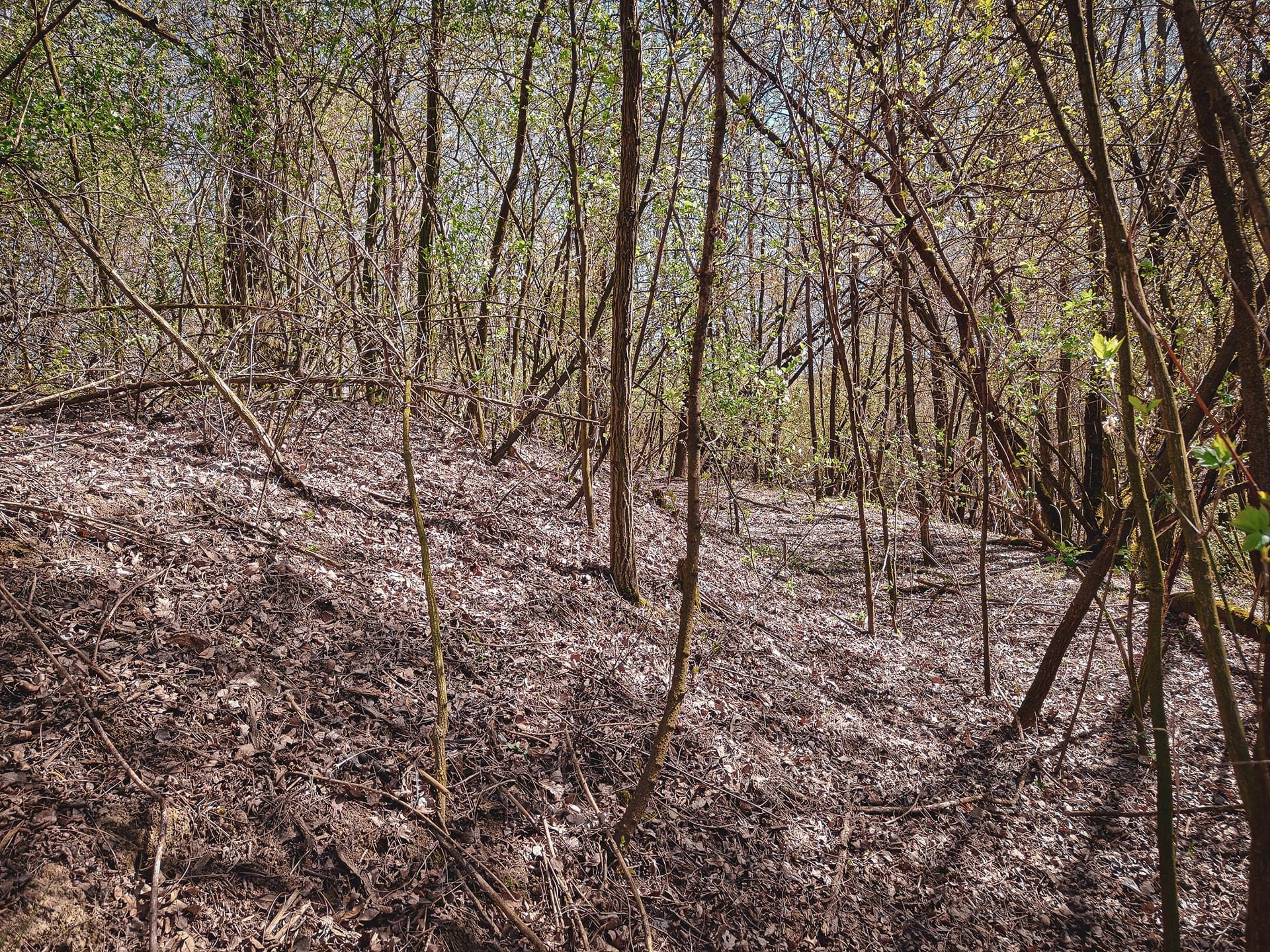 Earthen embankment on the hill, visible from the western side